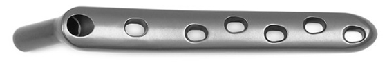 Plate and Screw  Proximal Femur Plates Titanium Implant for proximal femoral fracture